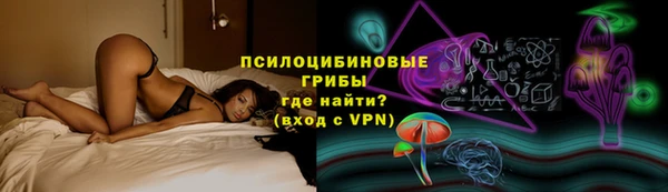 крисы Алзамай