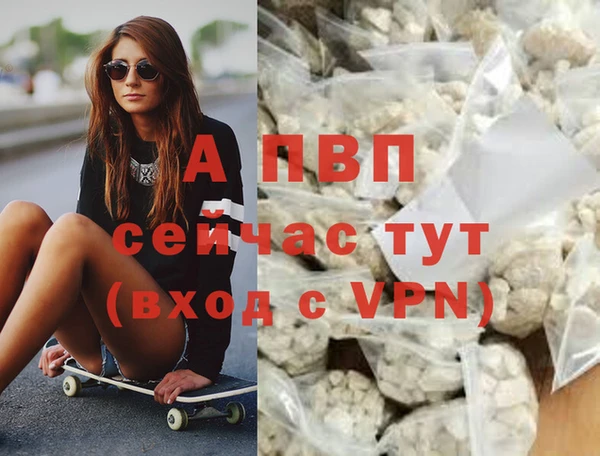 крисы Алзамай