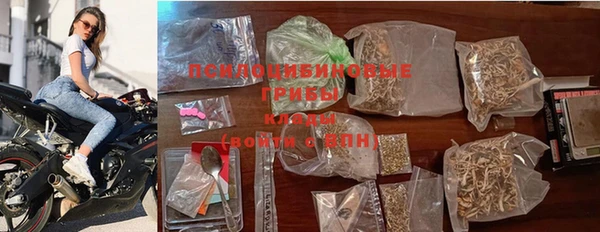 крисы Алзамай