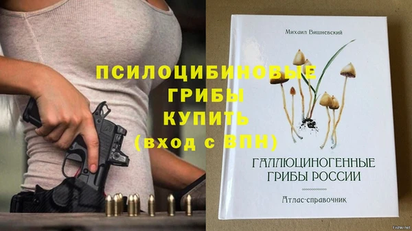 крисы Алзамай