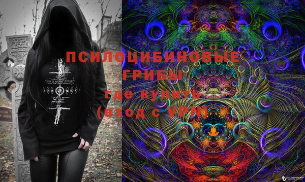 герыч Алексин