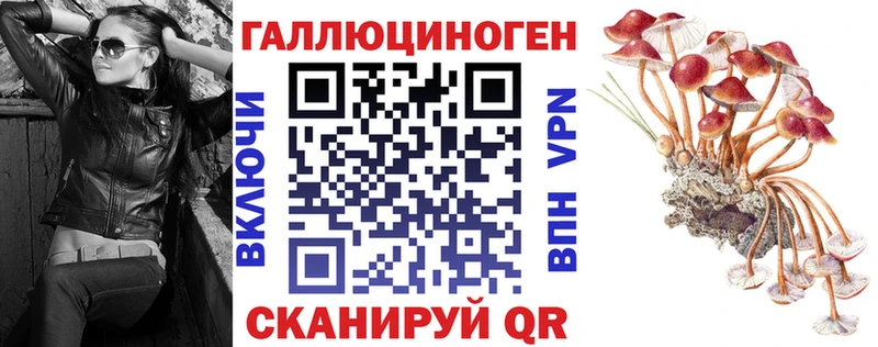 купить закладку Апшеронск Галлюциногенные грибы Psilocybe